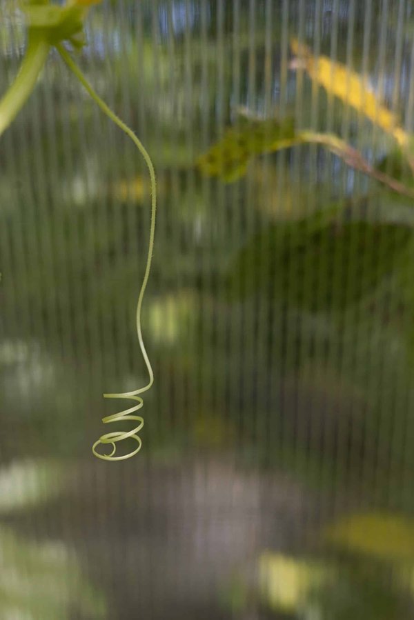 Comment les poissons d'eau douce s'adaptent-ils aux changements de saison ?